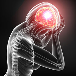Brain and nervous system medical illustration